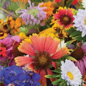 Tablecloths, quantity 14, cream/ivory color